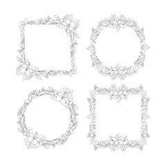 Hand Drawn Tropical Leaf and Flower Background