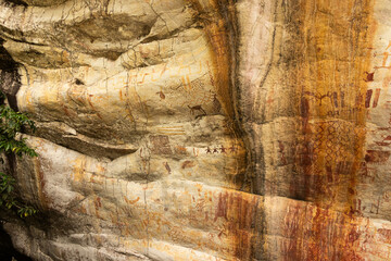 Arte rupestre san jose del guaviare