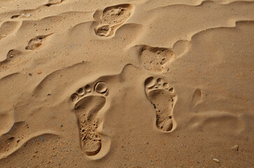 texture of sand beach for background
