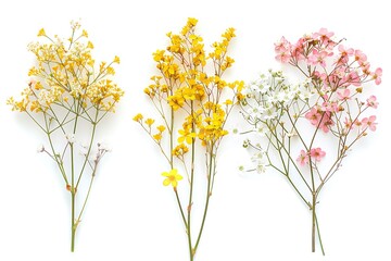 A collection of tiny sprigs of yellow Berberis flowers on a lonely backdrop. Generative Ai