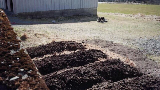 A Man Is Preparing A Cultivated Garden Plot Soil In The Yard. Timelapse