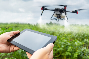 drone control on the farmer's field. Modern technologies in agriculture. industrial drone flies...