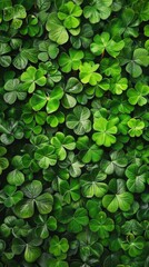 Lush Botany Groundcover with Rectangular Grass