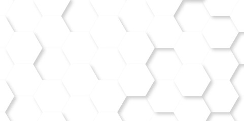 Abstract pattern with hexagon white and gray technology line paper background. Hexagon 3d vector grid tile and mosaic structure mess cell. white and gray hexagon honeycomb geometric copy space.