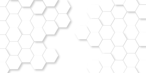 Fototapeta premium Abstract pattern with hexagonal white and gray technology line paper background. Hexagonal 3d vector grid tile and mosaic structure mess cell. white and gray hexagon honeycomb geometric copy space.
