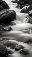 Fototapeta premium person in the water
