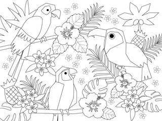 Obraz premium 南国の植物と鳥たちの塗り絵