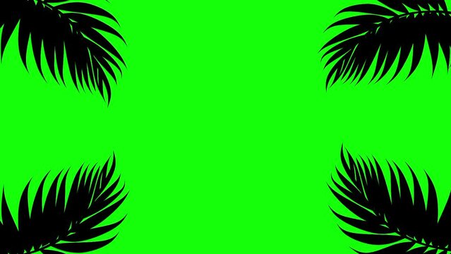 Green screen animation of coconut leaves moving in the wind. Nice leaf frame for information poster promotion and advertising template.