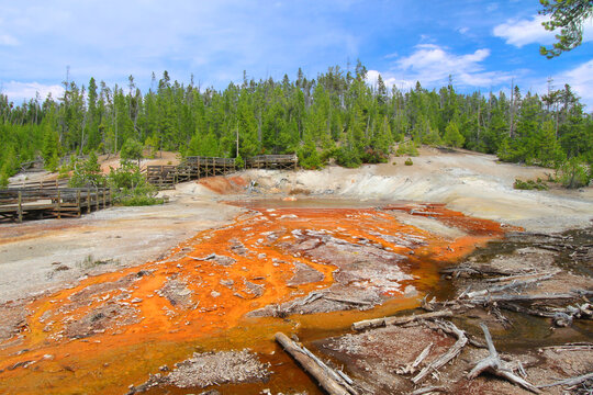 Hot waters flow out of Echinus Geyser of Yellowstone National Park