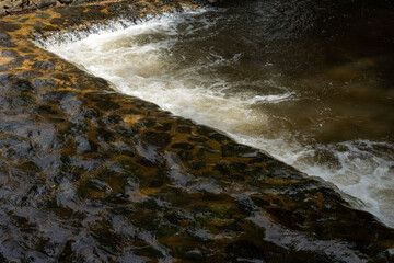 River Flowing into the Shade over a Stone Surface Bay. Zrnovci Macedonia 2024.