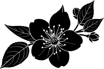Apple blossom black vector silhouette illustration 