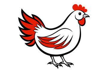 chicken vector artwork and illustration