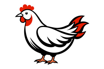 chicken vector artwork and illustration