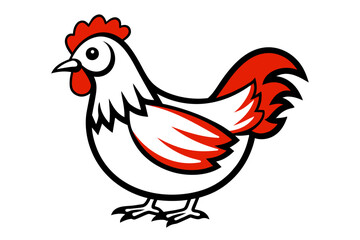 chicken vector artwork and illustration