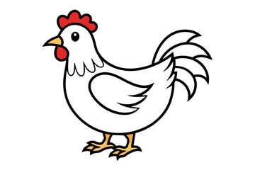 chicken vector artwork and illustration