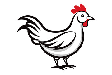 chicken vector artwork and illustration