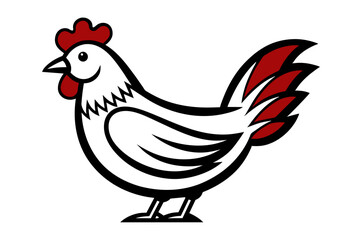 chicken vector artwork and illustration