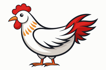 chicken vector artwork and illustration