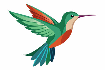 hummingbird flying vector illustration svg