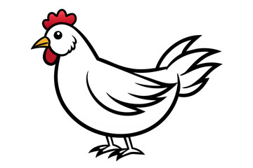 chicken vector artwork and illustration