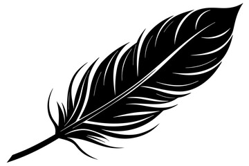 bird  feather vector silhouette illustration