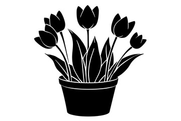 tulip tup vector silhouette illustration