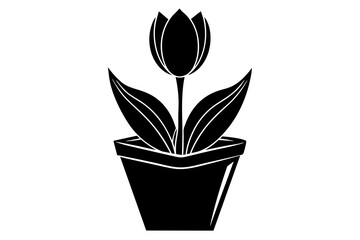 tulip tup vector silhouette illustration
