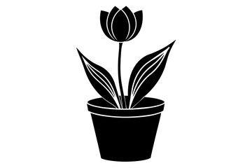 tulip tup vector silhouette illustration