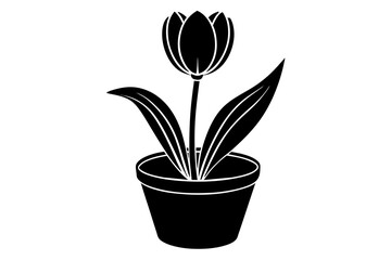 tulip tup vector silhouette illustration