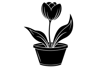 tulip tup vector silhouette illustration