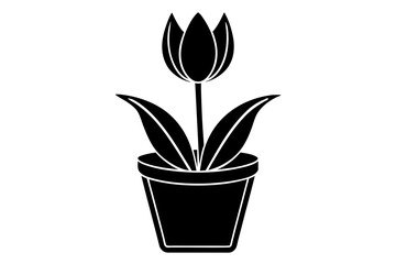 tulip tup vector silhouette illustration