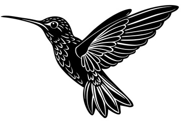Hand drawn hummingbird vector silhouette illustration