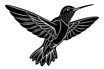 Hand drawn hummingbird vector silhouette illustration