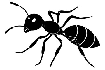cute ant  vector silhouette illustration