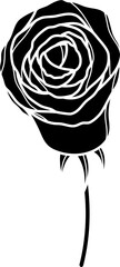 Rose Illustration Vector
