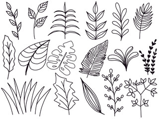 black and white background with leaves