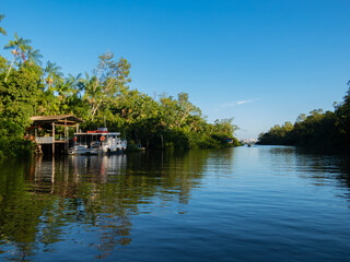 Fototapeta premium amazon river