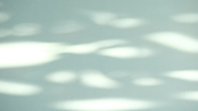 tudio exterior wall with shadows of moving leaves. Sunlight. Natural shadows overlaid on a white  background. summer concept	