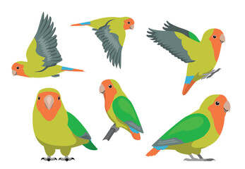 Animal Cartoon Bird Parrot Rosy-Faced Lovebird Poses Vector Illustration