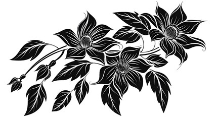 black and white flower isolated