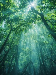Forest scenery with sunlight