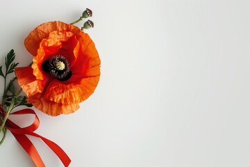 A graceful peony blossom adorned with a ribbon, capturing the essence of beauty and elegance