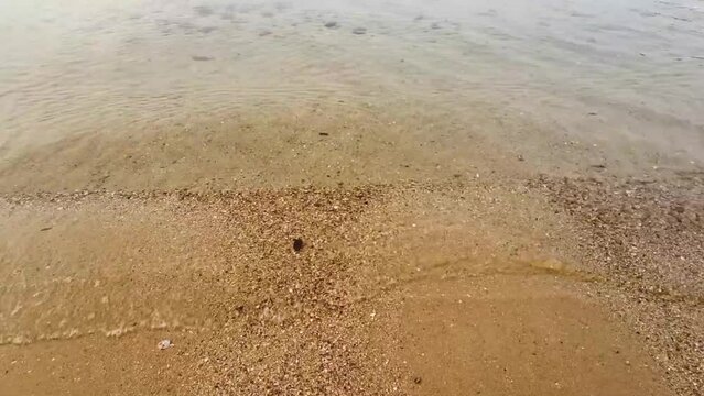 seascape, wave and sand,seabeach