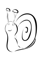 Schnecke 