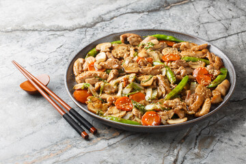 Moo Goo Gai Pan or Mah Gu Gai Pan is the Chinese dish chicken with mushroom in savory sauce closeup...