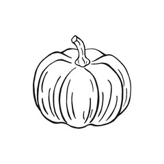 Pumpkin. Hand drawn vector illustration.