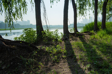 Fototapete bei efototapeten.de bestellen   