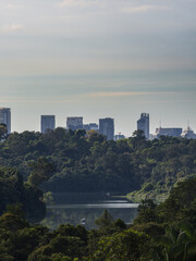 Obraz premium MacRitchie Reservoir