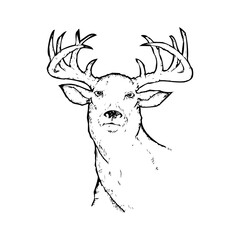 Deer icon