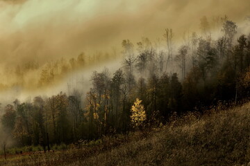 Karamurun-tau is a picturesque mountain range of the Orenburg region.
